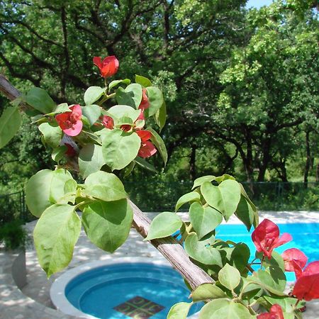 Poolside Apartments Miljan I Ranko Herceg Novi Eksteriør billede