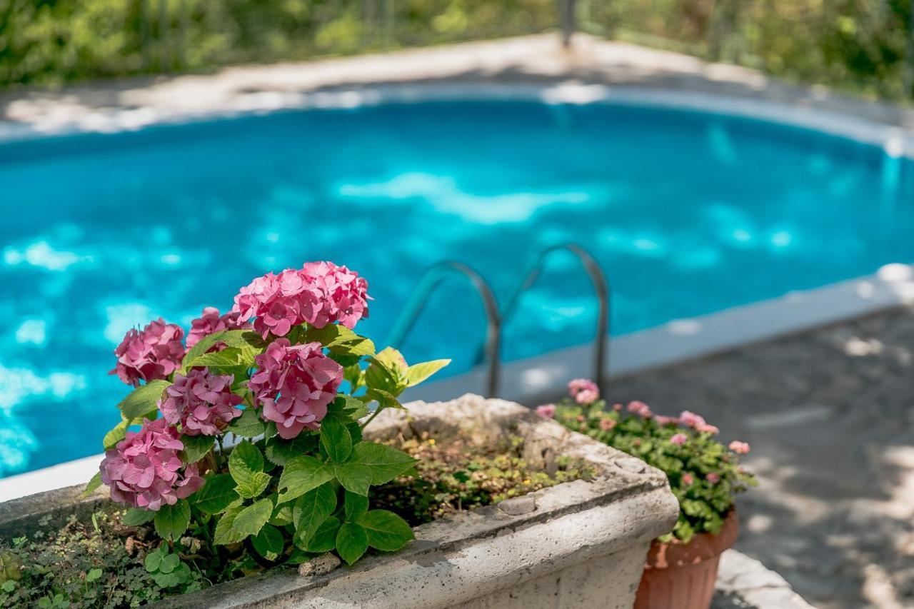 Poolside Apartments Miljan I Ranko Herceg Novi Eksteriør billede