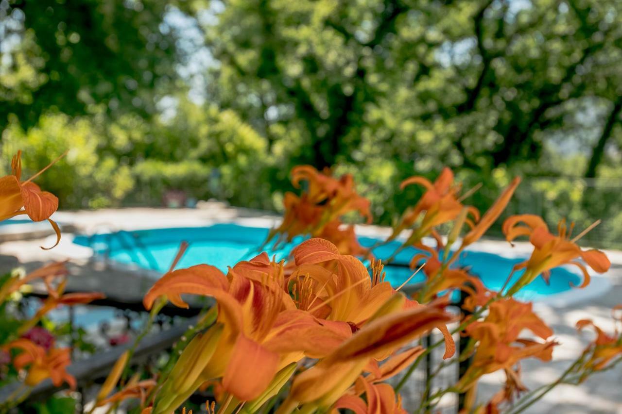 Poolside Apartments Miljan I Ranko Herceg Novi Eksteriør billede